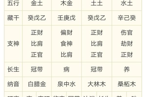 八字大运吉中带凶什么意思