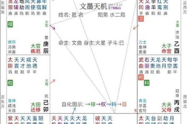 博士紫薇斗数