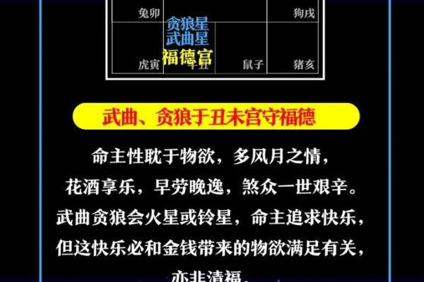 紫薇斗数大限武曲