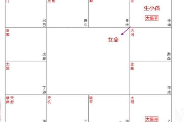 紫薇星斗命宫看长相