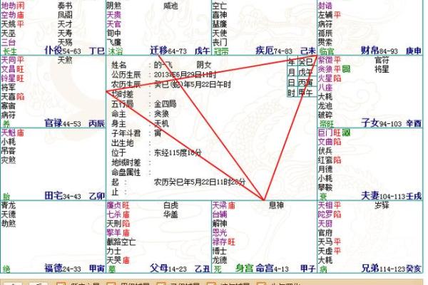 怎么看八字命盘,如何解读八字排盘