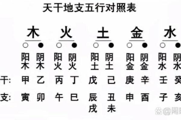 八字阴阳对照表，天干阴阳五行表