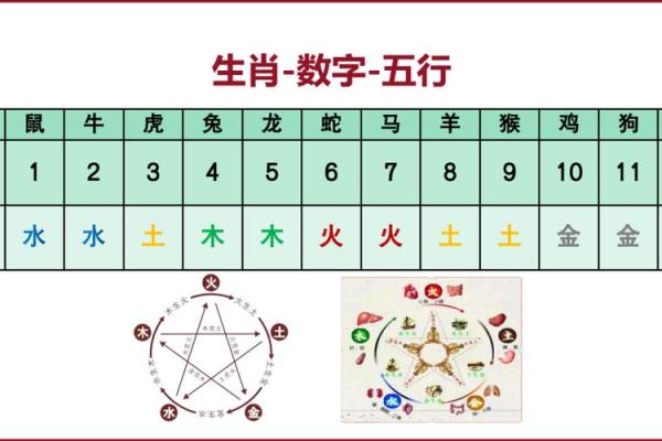 排八字排盘