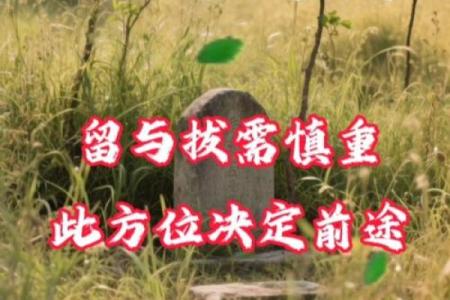 风水鬼故事之坟头怪树