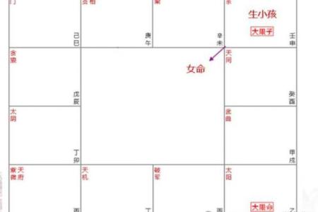 紫薇星斗命宫看长相