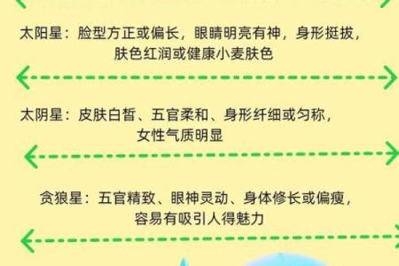 善良的紫薇斗数