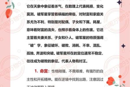 怎么理解紫薇斗数