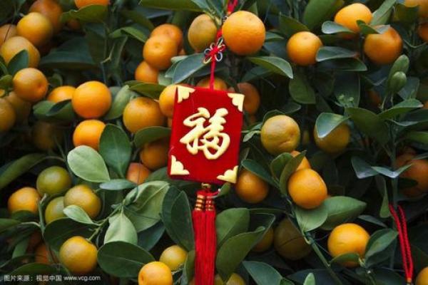 红红火火旺全家！大门风水好，家中出贵人
