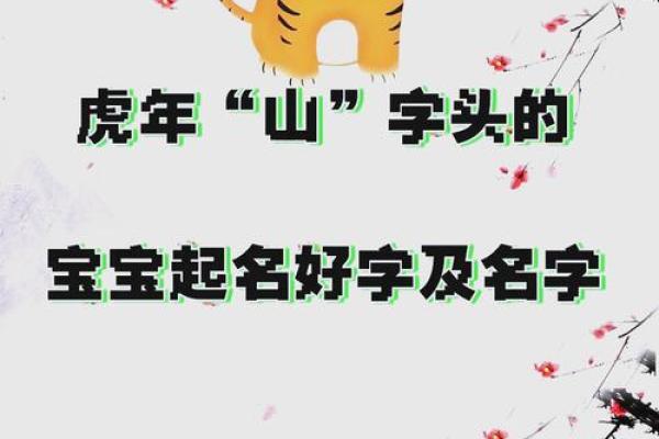 名字测试虎年吉凶打分