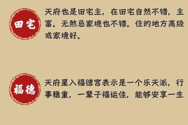 紫薇斗数看创业时机