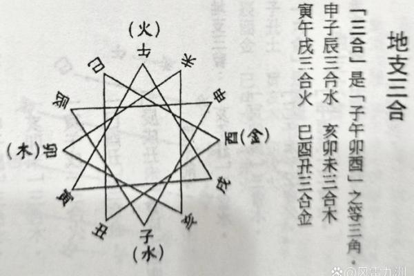 八字命理中的八字地支三合局