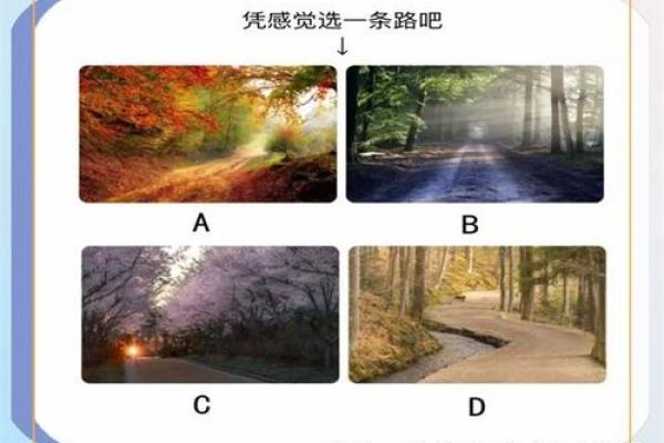 爱情心理测试 你对爱情准备好了吗