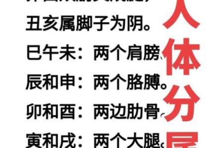 输入八字看命格,如何通过八字看命