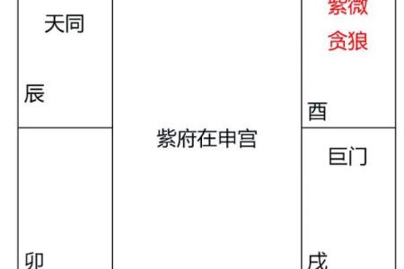 紫薇斗数算本月运势
