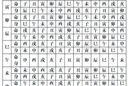 紫薇斗数网上命例
