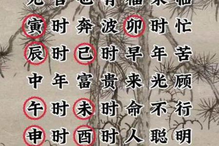 卯时八字