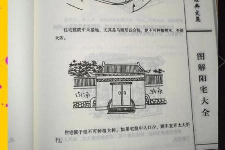 树上的房子风水