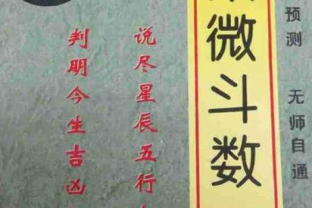 灵机紫薇斗数下载