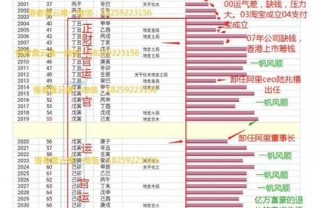 八字人生运势曲线图
