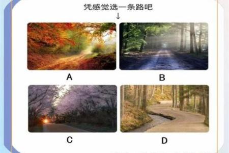 爱情心理测试 你对爱情准备好了吗