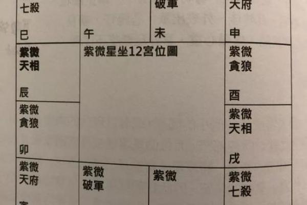 紫薇斗数各星