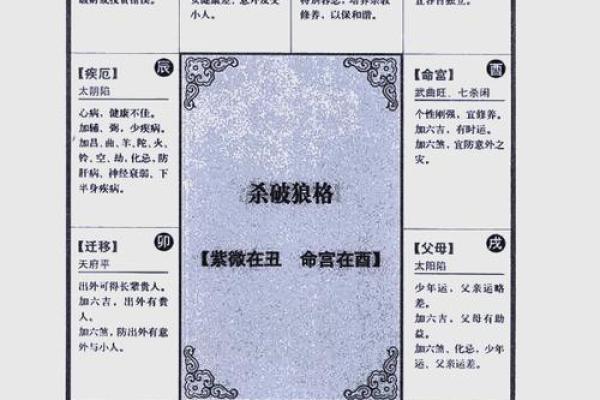 紫薇斗数解析排盘