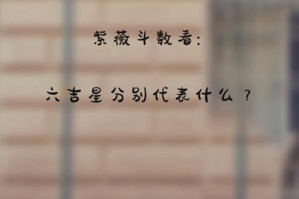 紫微斗数关于天魁天钺星的部分解析