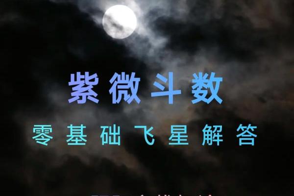 周飞星紫薇斗数