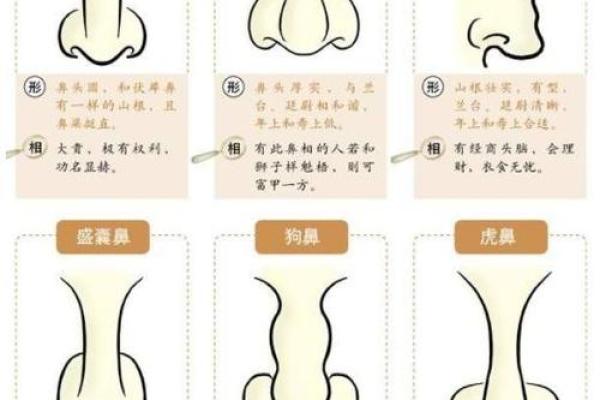肩膀算命大全