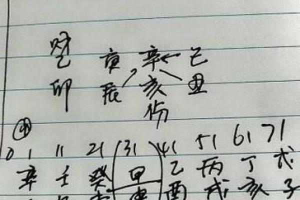 农历月能去算命吗吗
