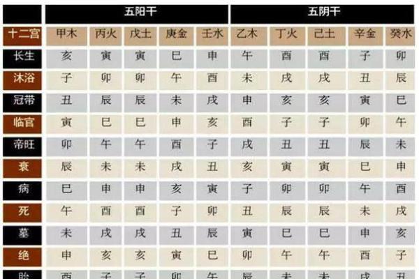壬辰日柱八字详解