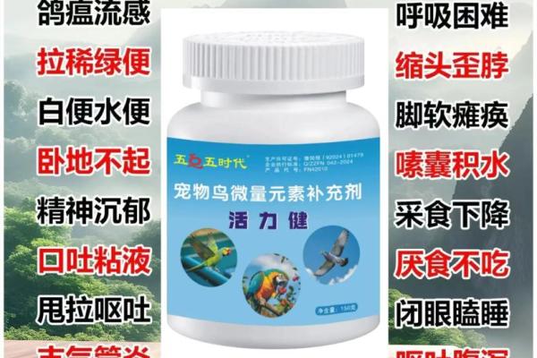 养鸽子与风水家庭和谐的源泉