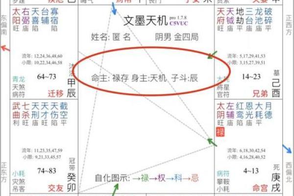 紫薇破军入疾厄宫的