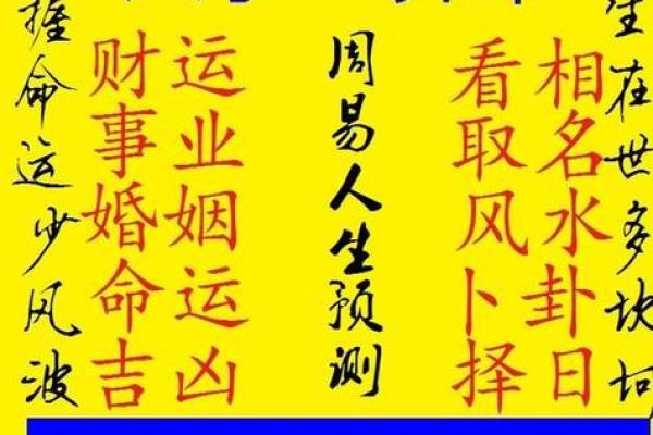 八字算命二龙戏珠