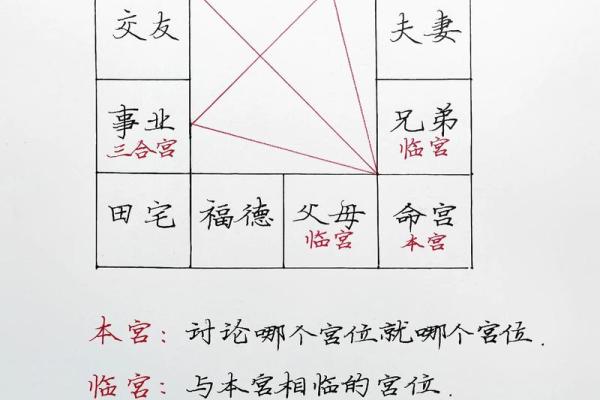 紫薇斗数看生孩子契机