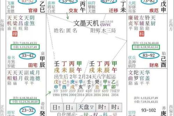 紫薇斗数专属命盘