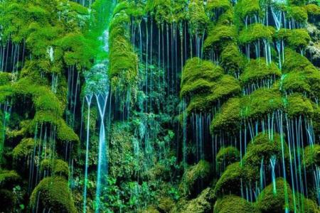 让家庭和谐青苔的风水