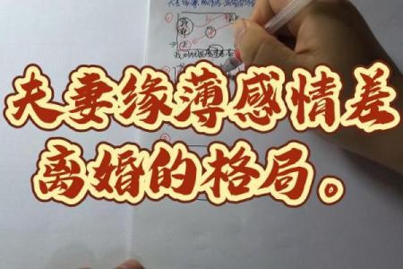 紫薇斗数断离婚