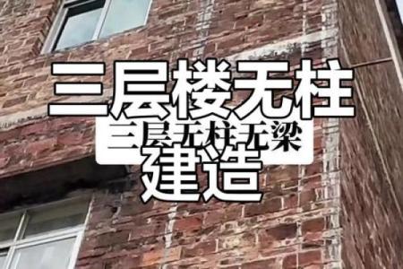 自建房风水更好的房子图不要柱子