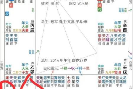 紫微斗数财运为负 紫微斗数看财运级别？