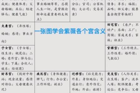 紫微斗数大限紫薇天相 紫微斗数大限排盘实验室？