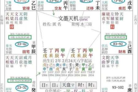 紫薇斗数专属命盘
