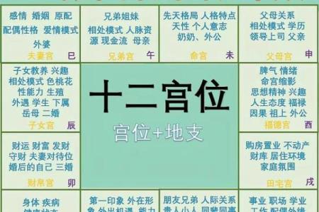 星空紫薇斗数
