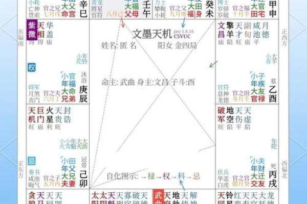 紫微财运曲线 紫微斗数测财运神巴巴？
