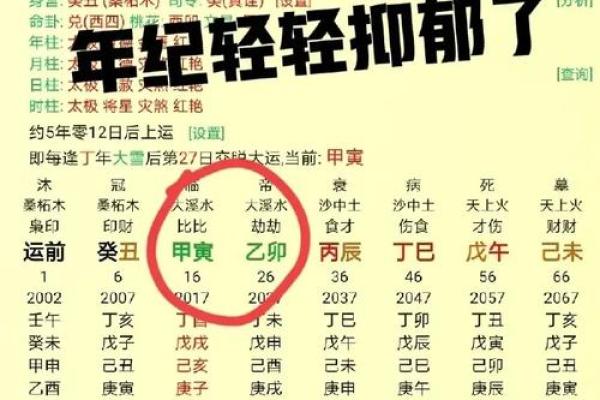 八字木少
