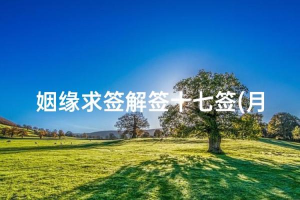 月老灵签求什么