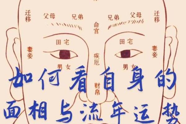人脸算命