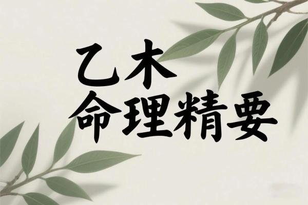 软弱的八字
