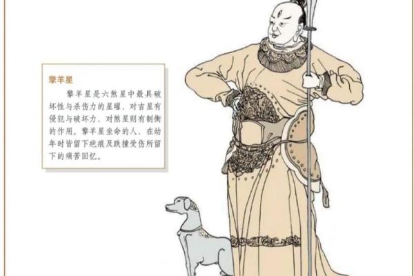 倪匡紫薇斗数