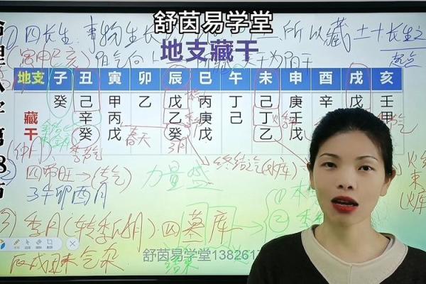 阳山八字
